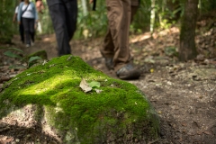Trek at Petén, Guatemala