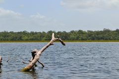Puerto Arturo, Petén