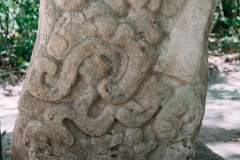 Stelle at El Mirador