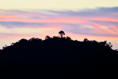 Amanece en El Mirador - Silueta de Pirámide de La Danta