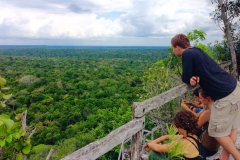 View from La Danta