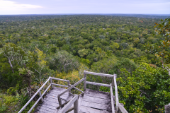 La Selva vista desde La Danta