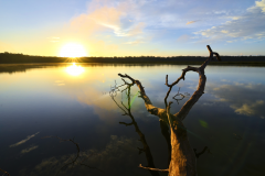 Amanecer en Puerto Arturo