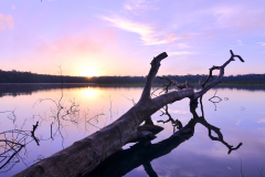 Amanecer en Puerto Arturo, los primeros rayos del sol