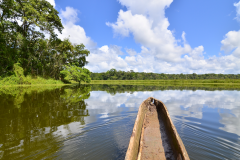 Bordeando la Isla de Puerto Arturo