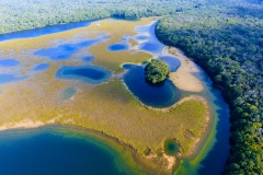 Refugio de Vida Silvestre Puerto Arturo