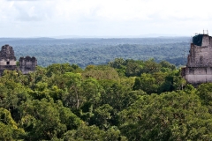 Tikal