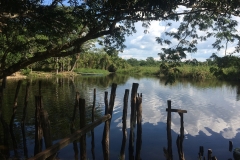 Las Guacamayas Biological Station and Waca Peru Site