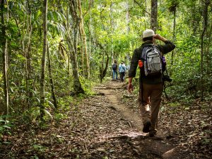 Maya Trek El Zotz
