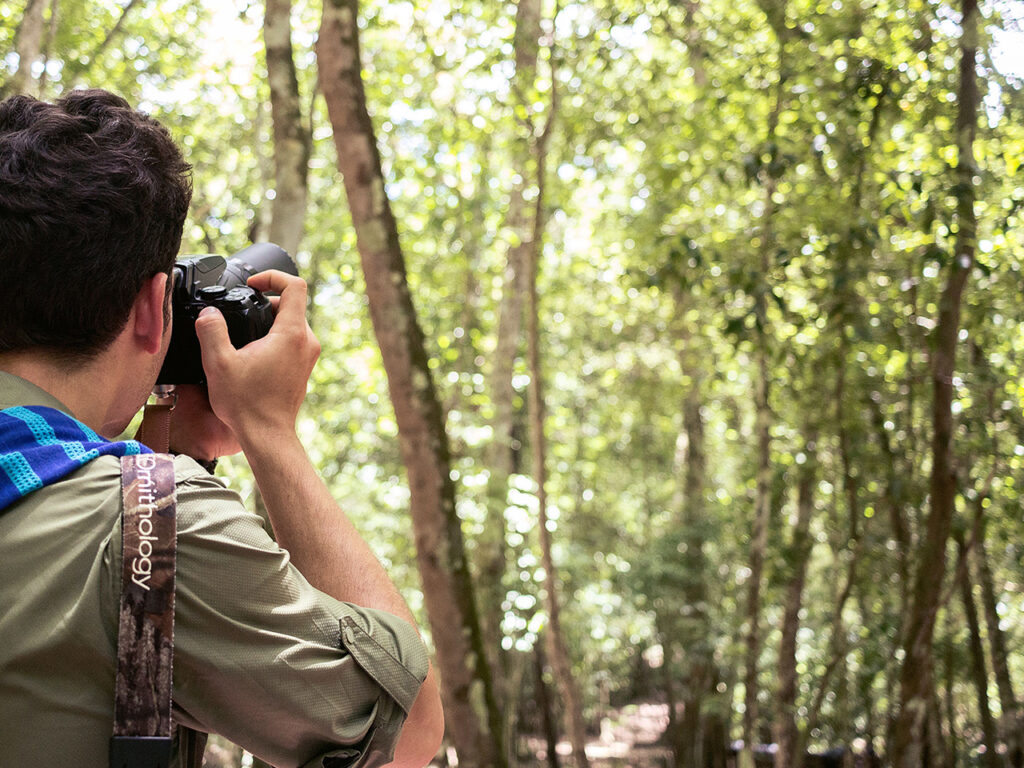 Tour de Avistamiento y Fotografía de Aves