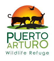 Puerto Arturo
